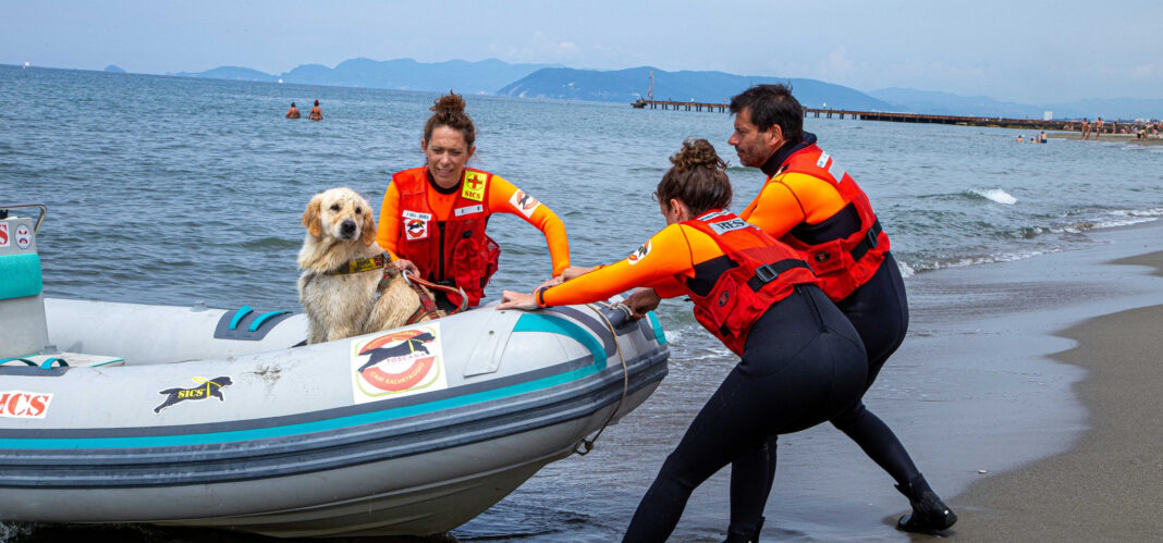 Forte dei Marmi, cani bagnino salvano cinque ragazzini in mare
