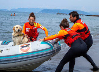 Forte dei Marmi, cani bagnino salvano cinque ragazzini in mare Forte dei Marmi, cani bagnino salvano cinque ragazzini in mare