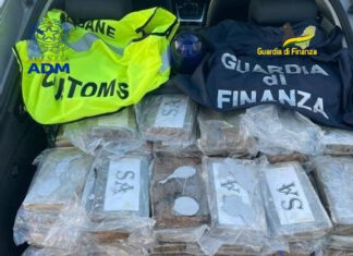 Cocaina nel porto di Livorno. Sequestro da 35 milioni. Un arresto Cocaina nel porto di Livorno. Sequestro da 35 milioni. Un arresto