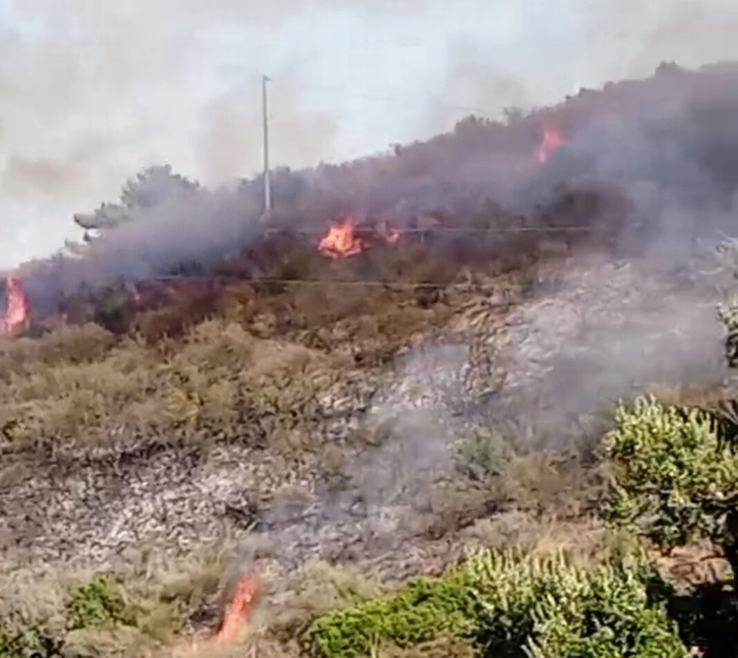 Incendio all'Elba, brucia il bosco a Rio. Fuoco vicino ristorante