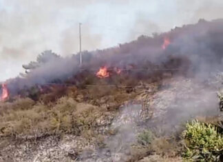 Incendio all’Elba, brucia il bosco a Rio. Fuoco vicino ristorante Incendio all'Elba, brucia il bosco a Rio. Fuoco vicino ristorante