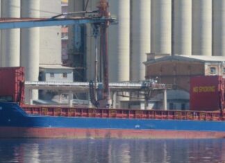 Piombino, stop nave carico di Panama. Acque nere in Santuario mammiferi marini Piombino, stop nave carico di Panama. Acque nere in Santuario mammiferi marini