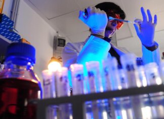 Storia genetica di un superbatterio killer, così l’Acinetobacter baumannii è diventato invulnerabile