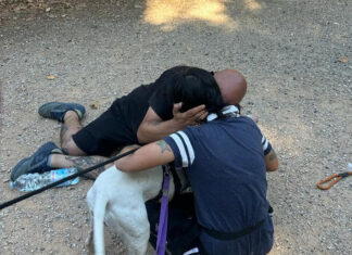 Weiss, il cane sordo ritrovato che ha commosso Livorno Weiss, il cane sordo ritrovato che ha commosso Livorno