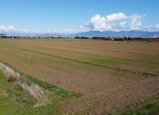 Fotovoltaico in Toscana, nuovo impianto a Collesalvetti Fotovoltaico in Toscana, nuovo impianto a Collesalvetti