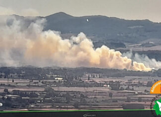 Incendio a Fauglia, abitazioni minacciate dalle fiamme Incendio a Fauglia, abitazioni minacciate dalle fiamme
