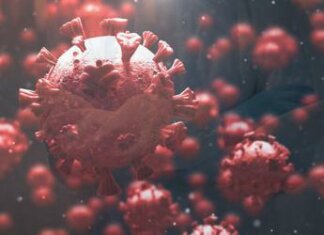 Covid, scoperta Mip-C nuova malattia letale associata al virus. Bassetti: “Nessun allarme”
