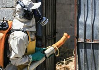Dengue, oltre 4 milioni di casi in Brasile: quasi 2mila i morti (ma potrebbero essere il doppio)