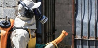 Disinfestazione ad Arezzo per un nuovo caso di Dengue