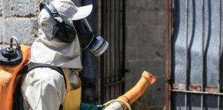 Caso di dengue a Fiesole: la sindaca ordina la disinfestazione urgente