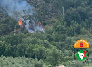 Vasto incendio a Sassetta, denunciato operaio forestale Vasto incendio a Sassetta, denunciato operaio forestale
