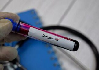 Dengue, lo studio: in Italia serve forte sorveglianza genomica e tracciare i casi