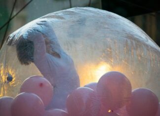 Festival Seta, a Prato ‘Dialoghi sulla Cina contemporanea’ Festival Seta, a Prato 'Dialoghi sulla Cina contemporanea'