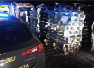 Maxi frode fiscale a Prato: fatture false per 100 milioni, 56 indagati Maxi frode fiscale a Prato: fatture false per 100 milioni, 56 indagati