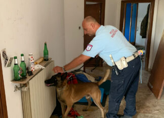 Grosseto, migranti irregolari in struttura abbandonata. Rimpatriati Grosseto, migranti irregolari in struttura abbandonata. Rimpatriati