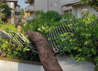 Nubifragi a Livorno e Casciana Terme, allerta arancione Nubifragi a Livorno e Casciana Terme, allerta arancione