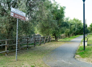 Verde pubblico a Prato, 11.5 milioni di investimenti Verde pubblico a Prato, 11.5 milioni di investimenti