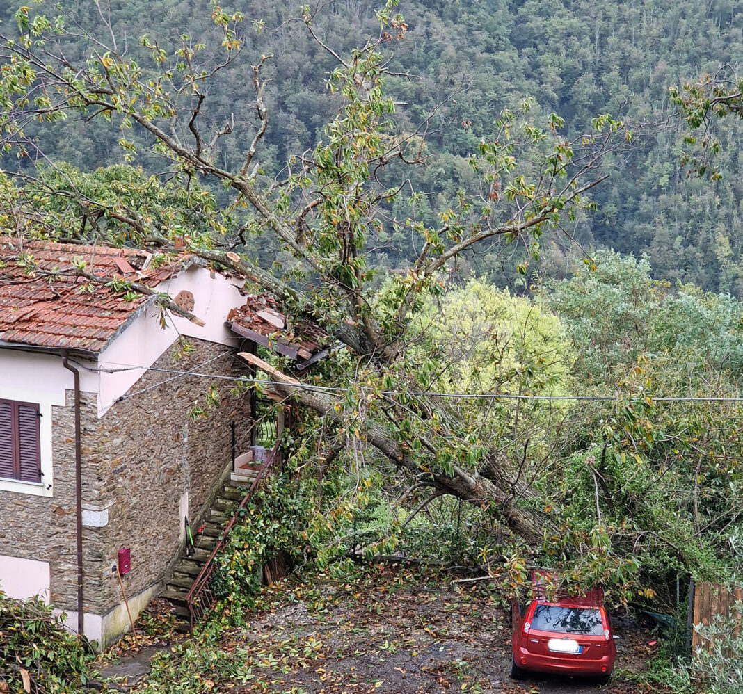 Maltempo in Toscana, nuovo peggioramento. Allerta meteo gialla