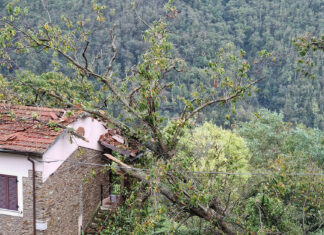 Maltempo in Toscana, nuovo peggioramento. Allerta meteo gialla Maltempo in Toscana, nuovo peggioramento. Allerta meteo gialla