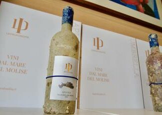 Svelati i primi 4 vini subacquei prodotti in Molise da ‘LeProfondità