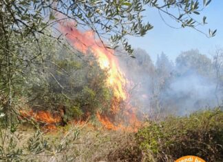 Incendi a Calenzano e Rufina, fiamme minacciano case Incendi a Calenzano e Rufina, fiamme minacciano case
