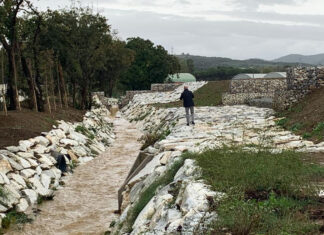 Maltempo e scuole chiuse, sindaco Salvetti: “Felice che a Livorno ci sia il sole” Maltempo e scuole chiuse, sindaco Salvetti: "Felice che a Livorno ci sia il sole". Allerta meteo arancione in Toscana