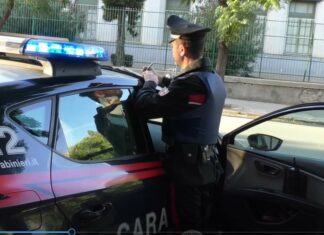 Droga e armi in una segheria, arresti e perquisizioni a Massa