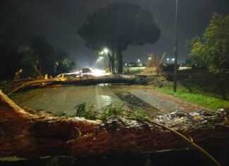Nuova allerta arancione, in Toscana scuole chiuse con fasce orarie Nuova allerta arancione, in Toscana scuole chiuse con fasce orarie