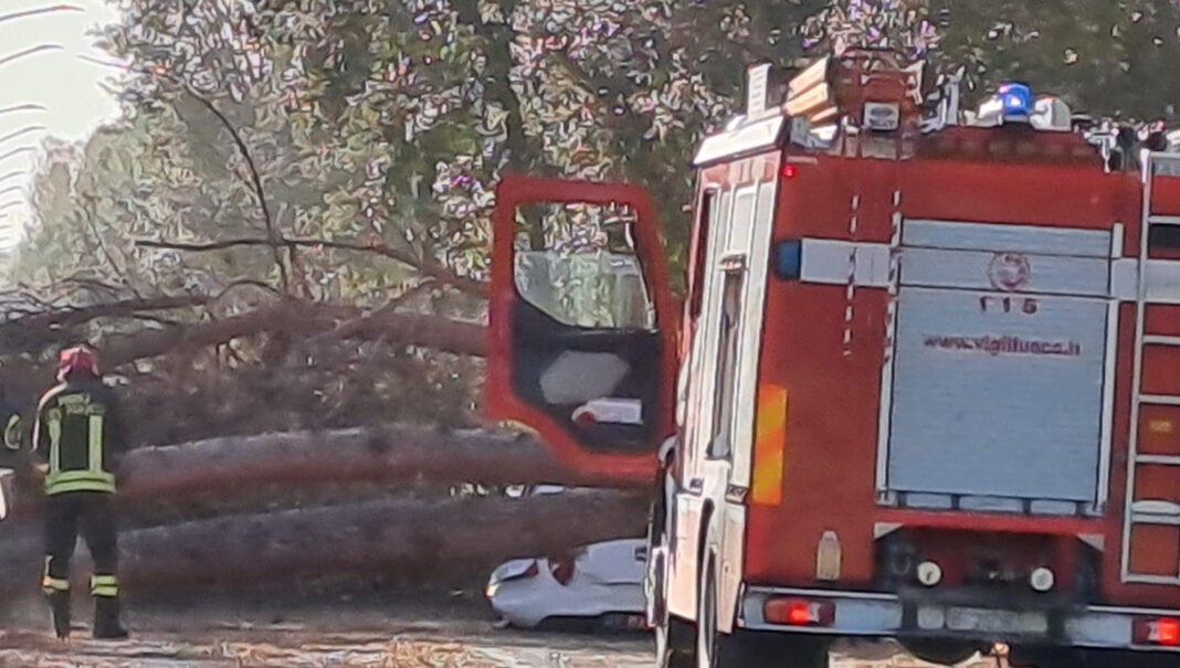 Maltempo in Toscana, bilancio dei danni. A Viareggio famiglie sfollate