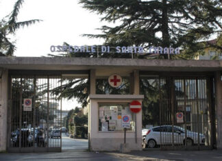 Dengue, un caso rilevato all’ospedale Santa Chiara di Pisa Dengue, un caso rilevato all'ospedale Santa Chiara di Pisa