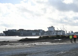 Darsena Europa, ok Via al progetto nel porto di Livorno Darsena Europa, ok Via al progetto nel porto di Livorno