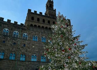 Natale a Firenze, mezzo milione di turisti in arrivo. Il 60% sono stranieri Natale a Firenze, mezzo milione di turisti in arrivo. Il 60% sono stranieri