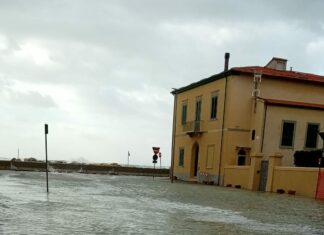 Marina di Pisa invasa dal mare, sindaco: “Pretendiamo i lavori dalla Regione” Marina di Pisa invasa dal mare, sindaco: "Pretendiamo i lavori dalla Regione"