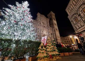 Buon Natale Firenze, si accende la città. Folla in piazza Duomo per l’albero Buon Natale Firenze, si accende la città. Folla in piazza Duomo per l'albero