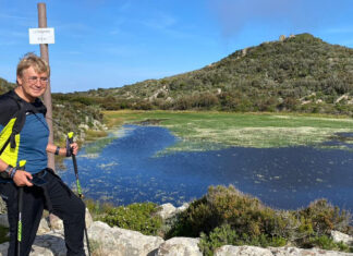 Isola del Giglio, il massacro dei mufloni. “Eradicazione conclusa” Isola del Giglio, il massacro dei mufloni. "Eradicazione conclusa"