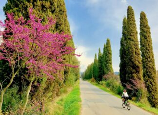 Costa degli Etruschi, ecco Destination Management Company Costa degli Etruschi, ecco Destination Management Company