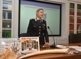 Gestione illecita rifiuti speciali, aumentano i reati in Toscana Gestione illecita rifiuti speciali, aumentano i reati in Toscana