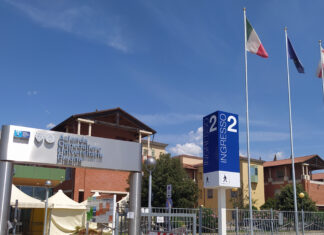 Chirurgia della mano, Pisa verso la riorganizzazione