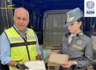 Cocaina nel porto di Livorno, maxi sequestro da oltre 20 milioni Cocaina nel porto di Livorno, maxi sequestro da oltre 20 milioni