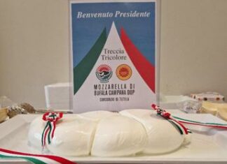Dal Consorzio della mozzarella di bufala campana Dop una maxi treccia tricolore a Mattarella