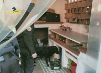 GdF Lucca, manodopera illegale. Sequestro oltre 2.5 milioni GdF Lucca, manodopera illegale. Sequestro oltre 2.5 milioni