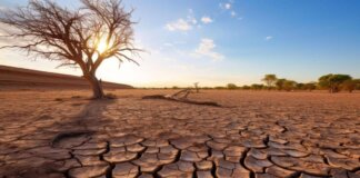 Temperature oltre la media, siccità ed eventi estremi: allarme clima in Europa