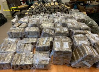 Traffico internazionale droga, 15 arresti. Operazione GdF Pisa Traffico internazionale droga, 15 arresti. Operazione GdF Pisa