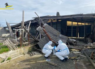 Amianto a Volterra, sequestrata area oltre 3mila metri quadri Amianto a Volterra, sequestrata area oltre 3mila metri quadri