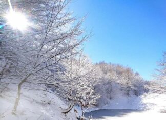 Ancora allerta gialla in Toscana, rischio idrogeologico Ancora allerta gialla in Toscana, rischio idrogeologico