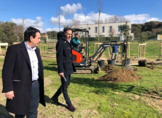 Verde urbano a Pisa, 535 nuovi alberi nelle scuole Verde urbano a Pisa, 535 nuovi alberi nelle scuole