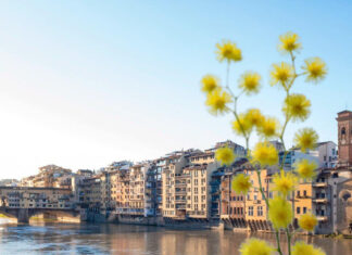 8 marzo 2024, convegno di eccellenze: 22 relatori tutti uomini 8 marzo 2024, convegno di eccellenze: 22 relatori tutti uomini