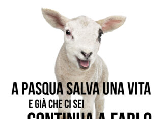 ‘A Pasqua salva una vita’, appello Oipa per gli agnelli 'A Pasqua salva una vita', appello Oipa per gli agnelli