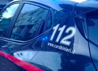 In auto con 31 kg droga: arrestato al casello A12 di Rosignano In auto con 31 kg droga: arrestato al casello A12 di Rosignano