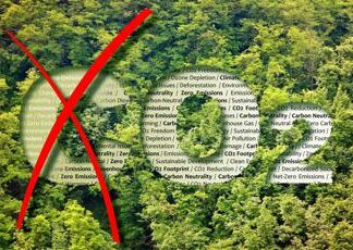 CarpeCarbon, perché il progetto italiano per catturare la CO2 è diverso da tutti gli altri